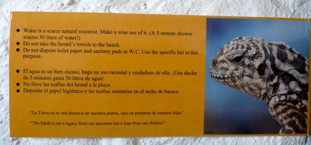 La K-Leta Boutique Guesthouse Puerto Ayora  Εξωτερικό φωτογραφία